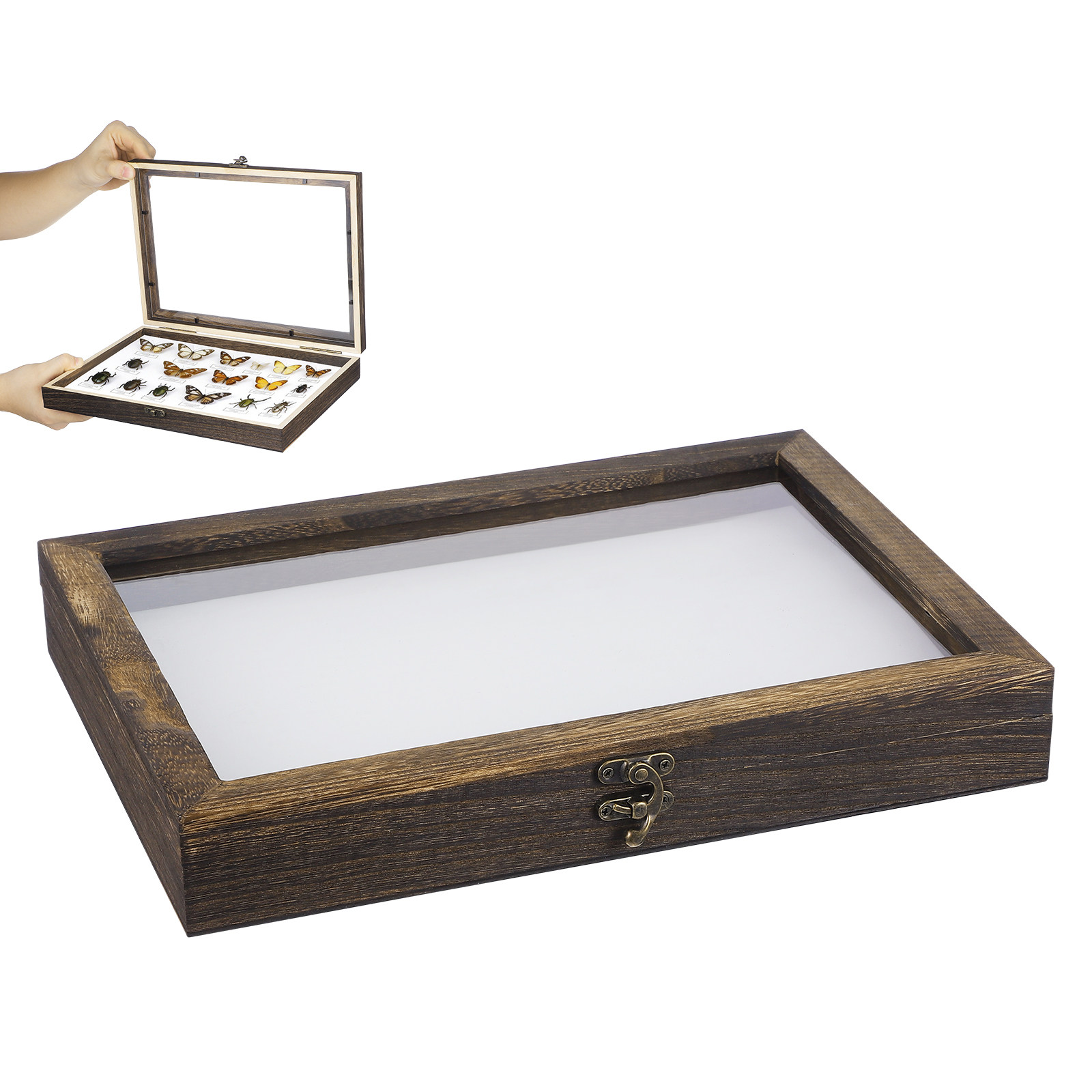 1Set Wood Specimen Showcase In - огляд і ціна Frame Display Wood