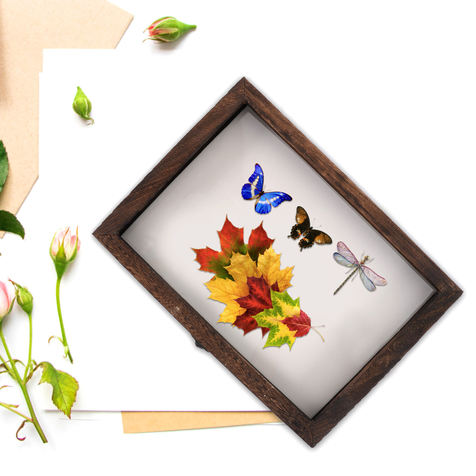 1Set Wood Specimen Showcase In - огляд і ціна Frame Display Wood