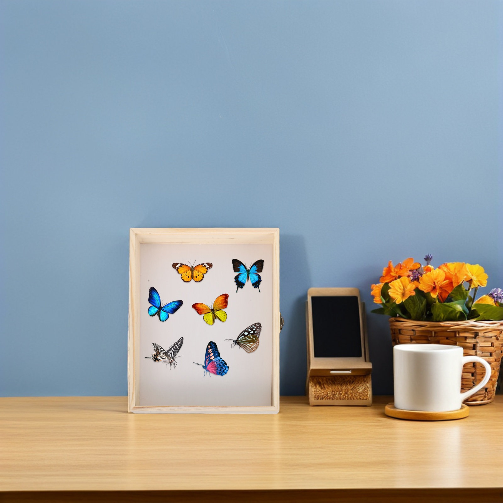 Solid Wood Insect Specimen Dis - огляд і ціна Frame Display Wood
