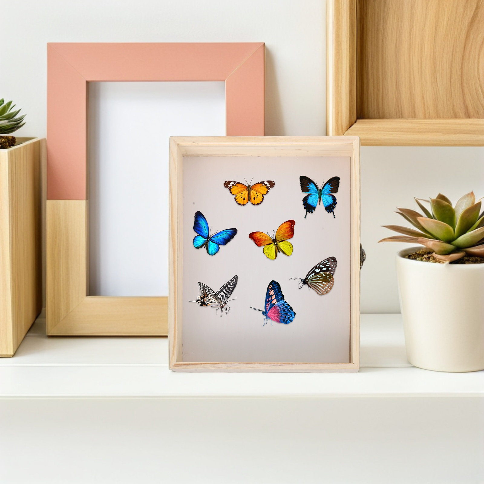 Solid Wood Insect Specimen Dis - огляд і ціна Frame Display Wood