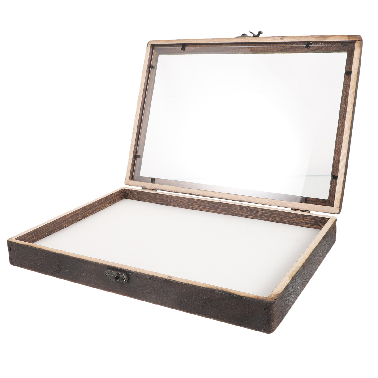 1Set Insect Specimen Display B - огляд і ціна Frame Display Wood