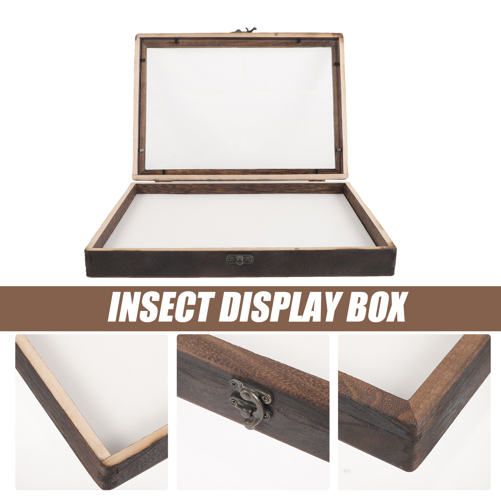 1Set Insect Specimen Display B - огляд і ціна Frame Display Wood